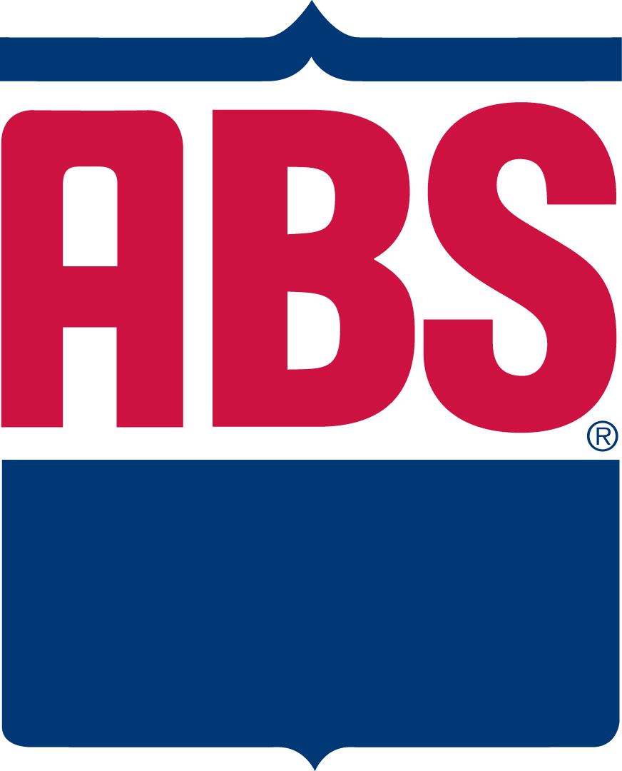 Partner 4